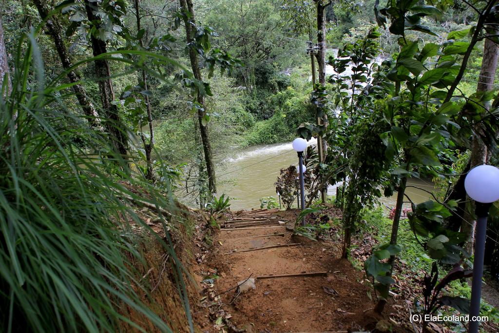 Ela Ecoland Nature Retreat,Idukki>>Devikolam,3 star