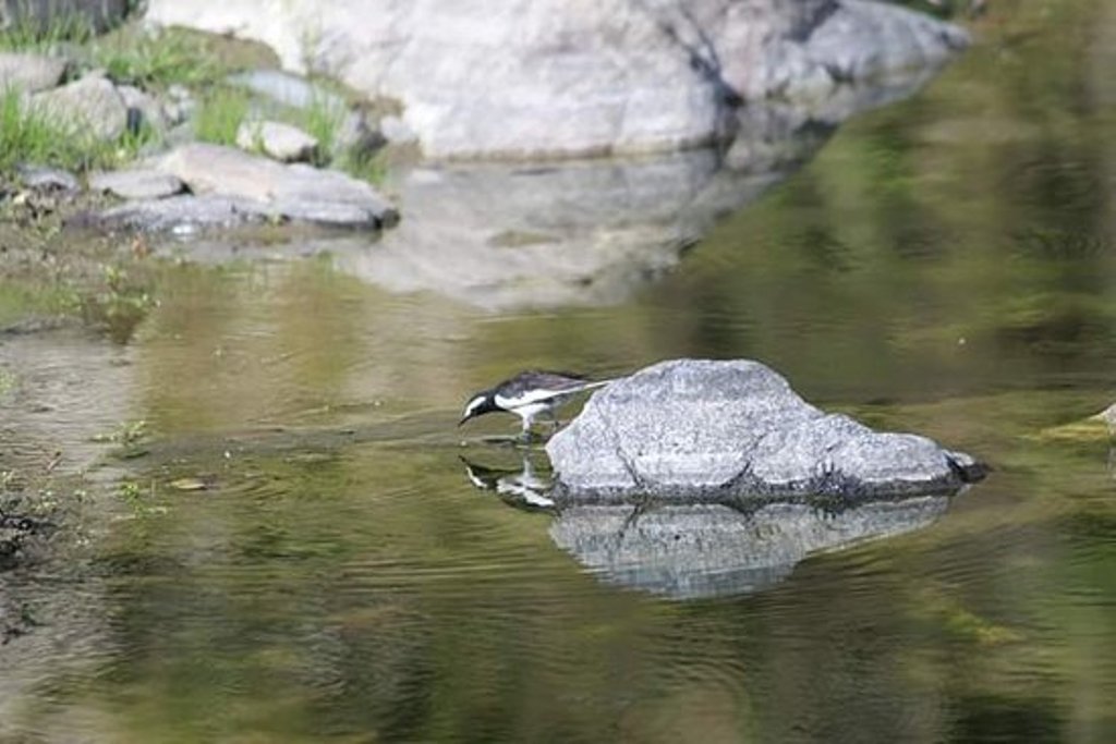 Hanumanti River View Resort,Choubattakhal>>Byasi,3 star