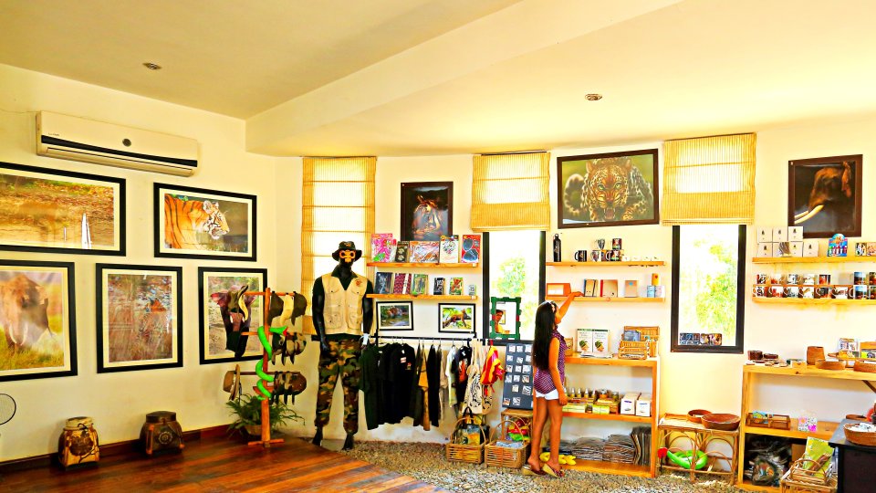 Golden Tusk,Dhela>>Corbett National Park,4 star