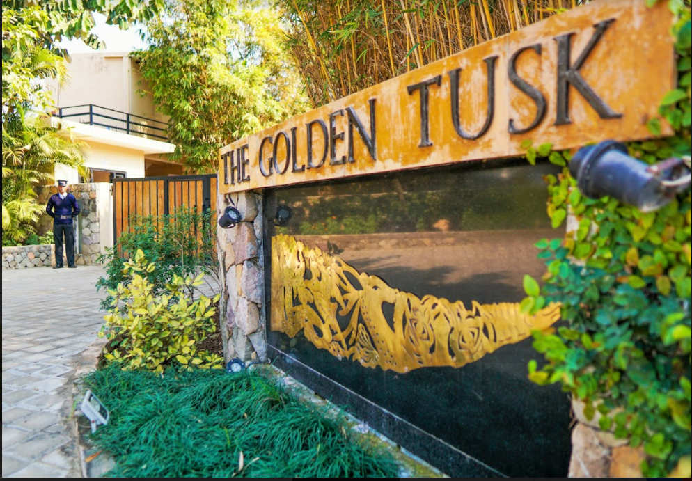 golden tusk