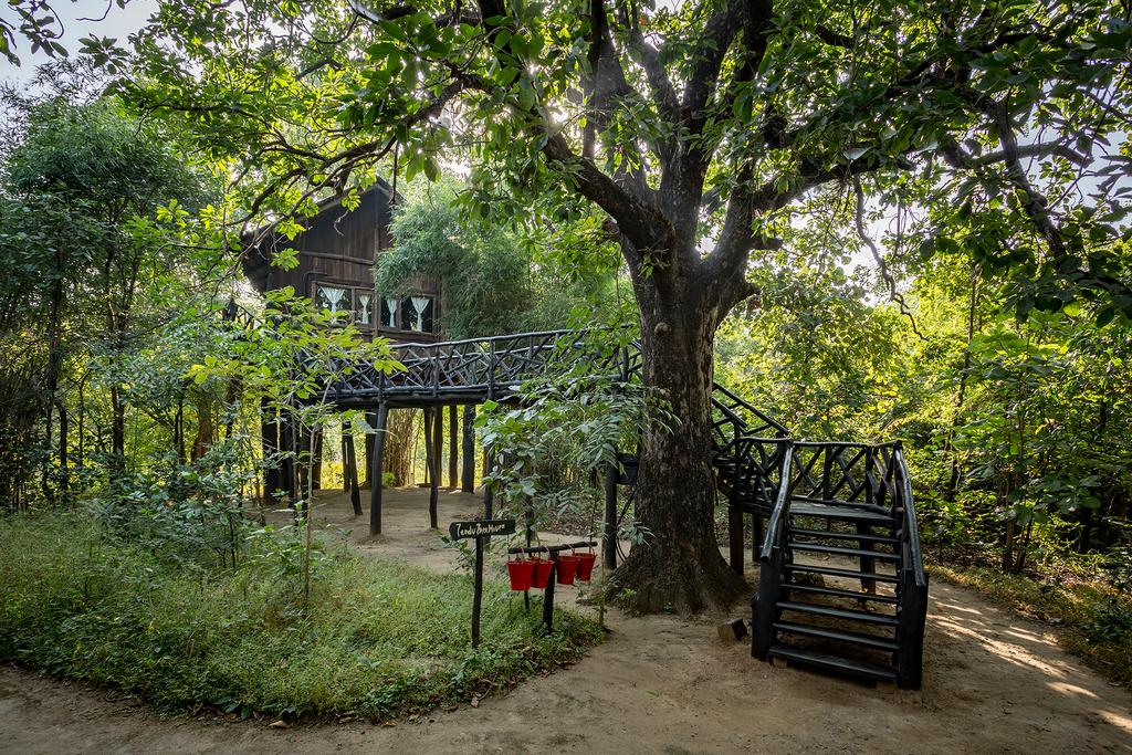 Pugdundee Safaris- Tree House Hideaway,Umaria-Badhavgarh Rd, Vijarhia, Rakhi Amodar, Madhya Pradesh 484661,4 star