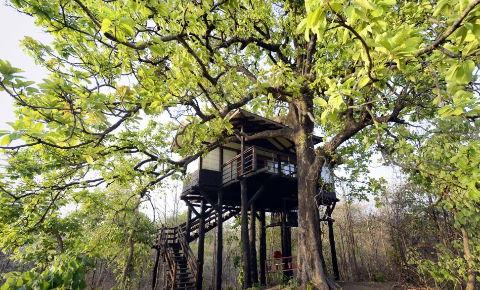 pench national park