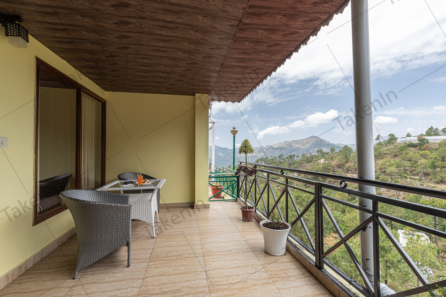 maple resort chail