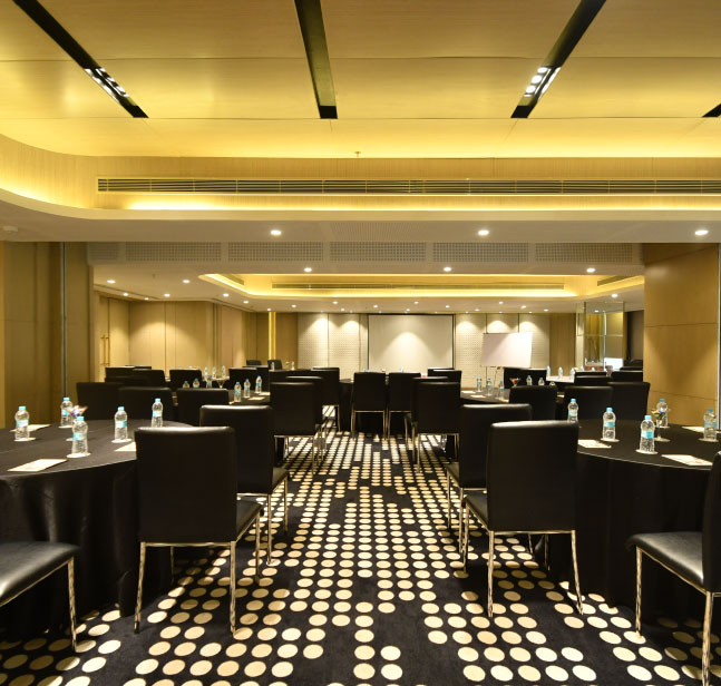 vividus hotels bangalore