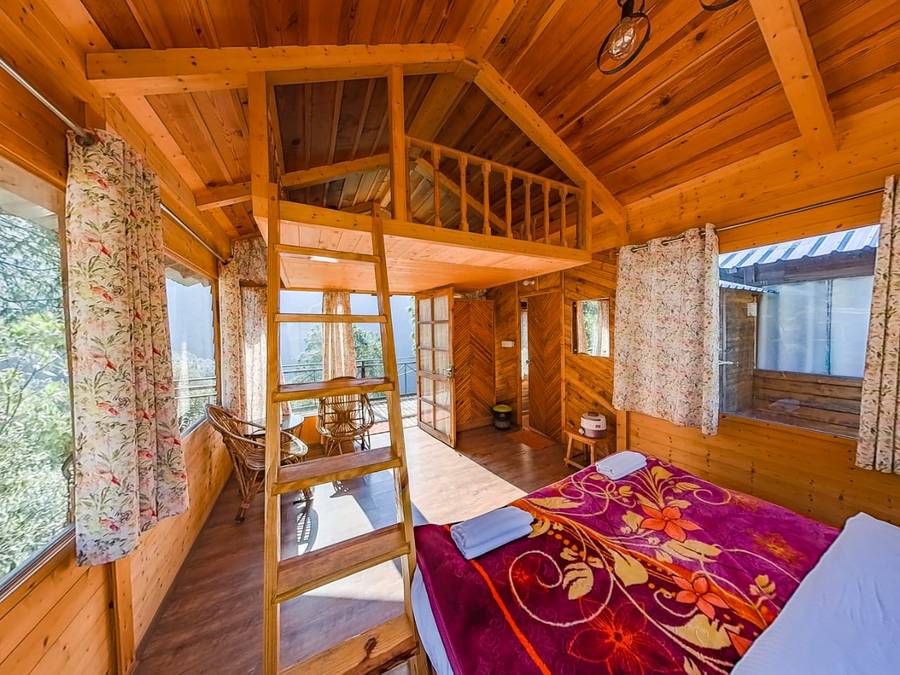 chirpingi birdz resort