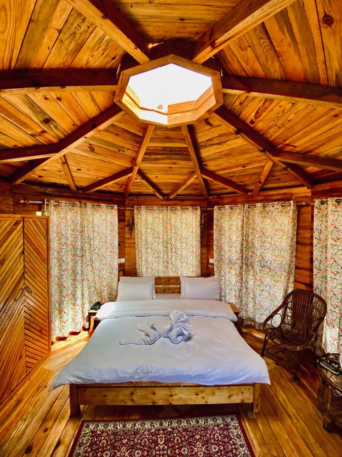 chirpingi birdz resort