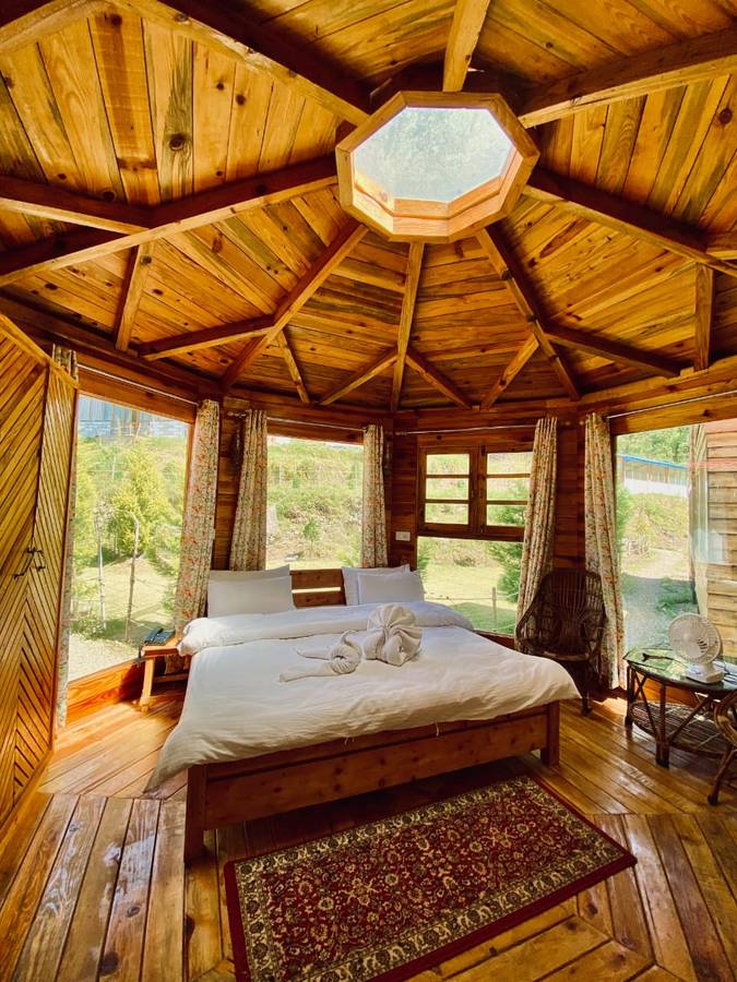 chirpingi birdz resort