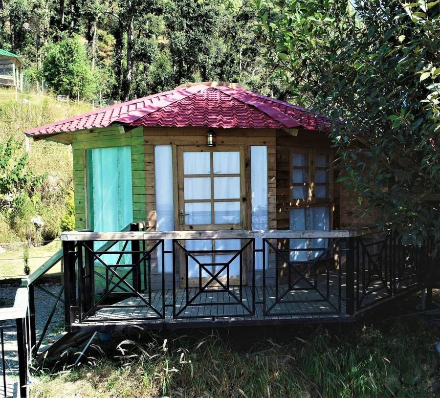 chirpingi birdz resort