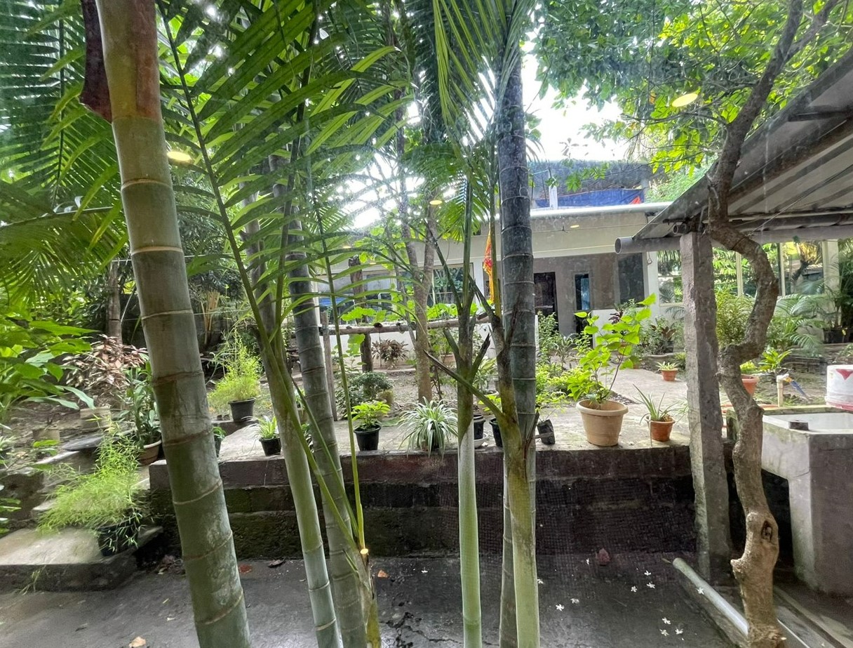 Blu Lagoon,Pahargaon,2 star