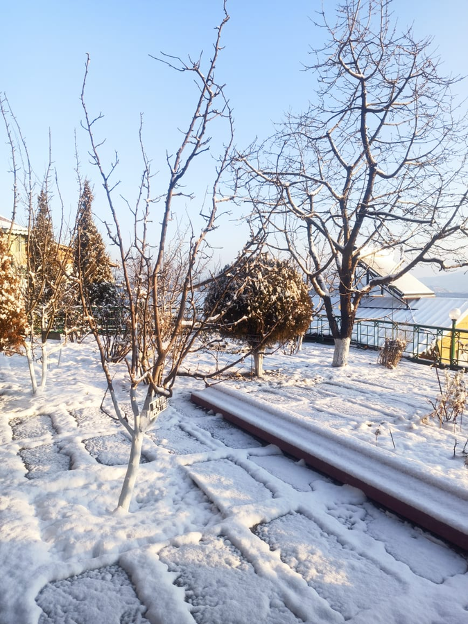 snow king retreat the heaven