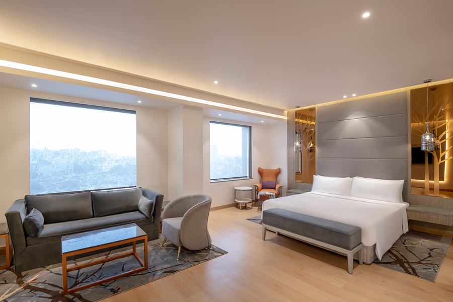 radisson blu towers kaushambi delhi ncr