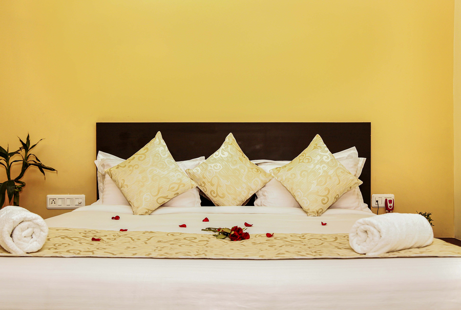 the park classic udaipur