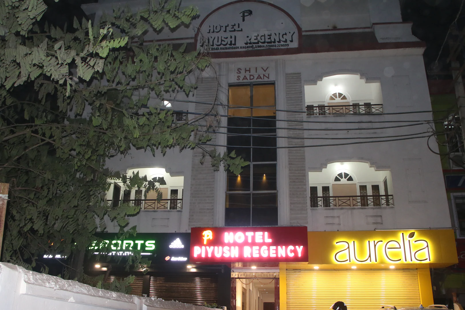Hotel Piyush Regency