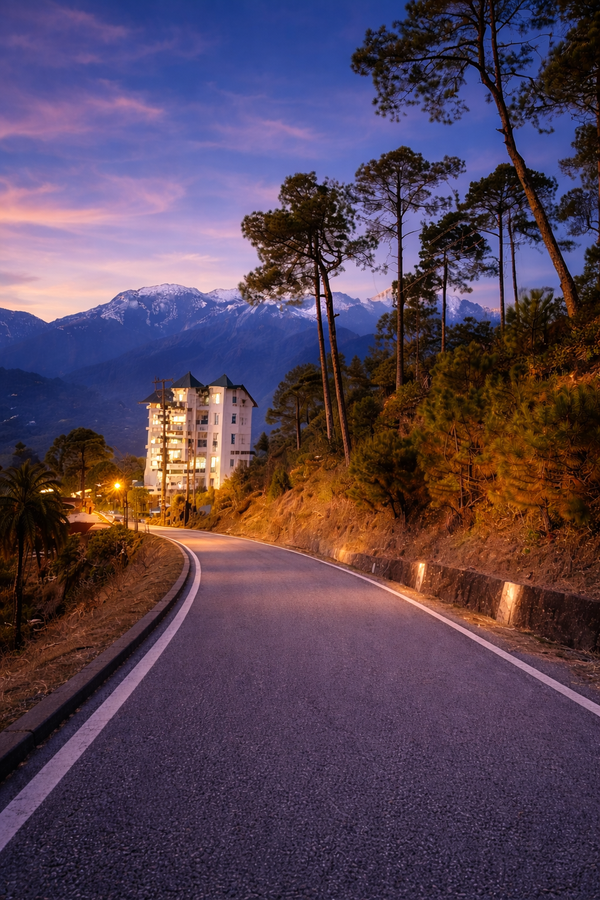 hotel sahebs castle best mountain view and jacuzzi suites mcleodganj