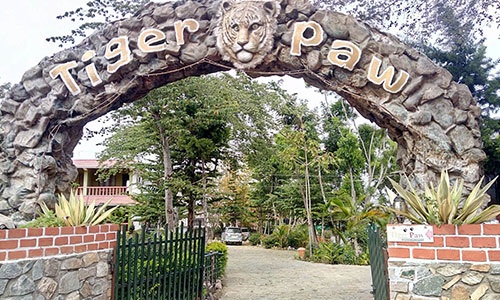 The Tiger Paw Resort