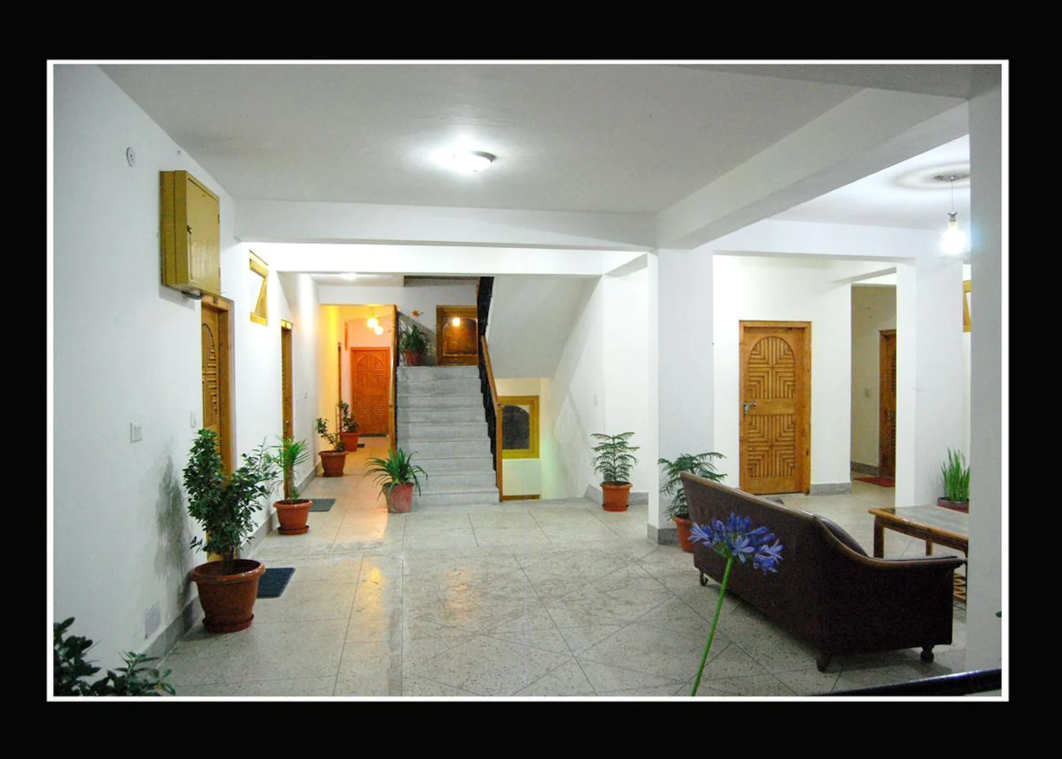 hotel surya international