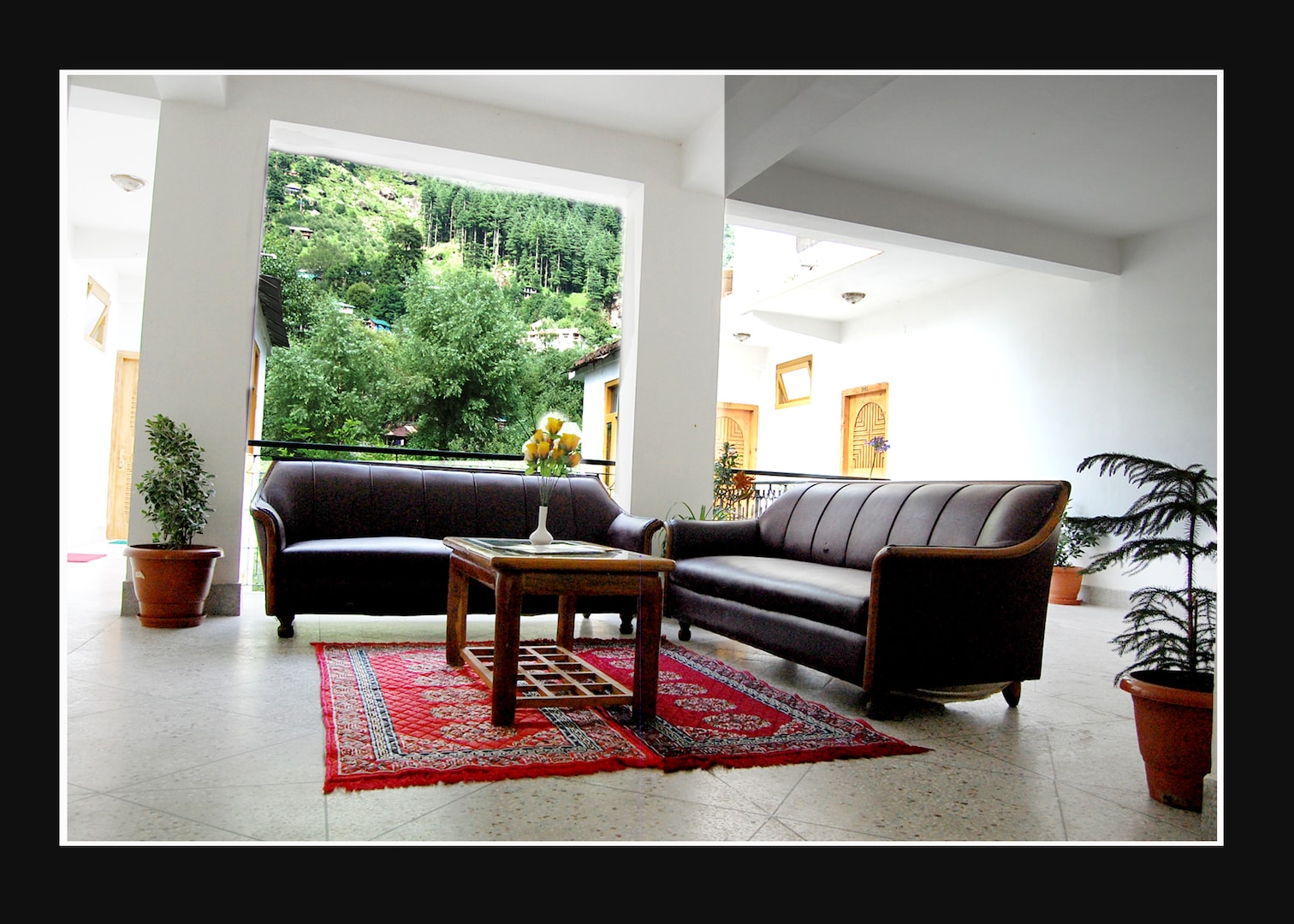 hotel surya international