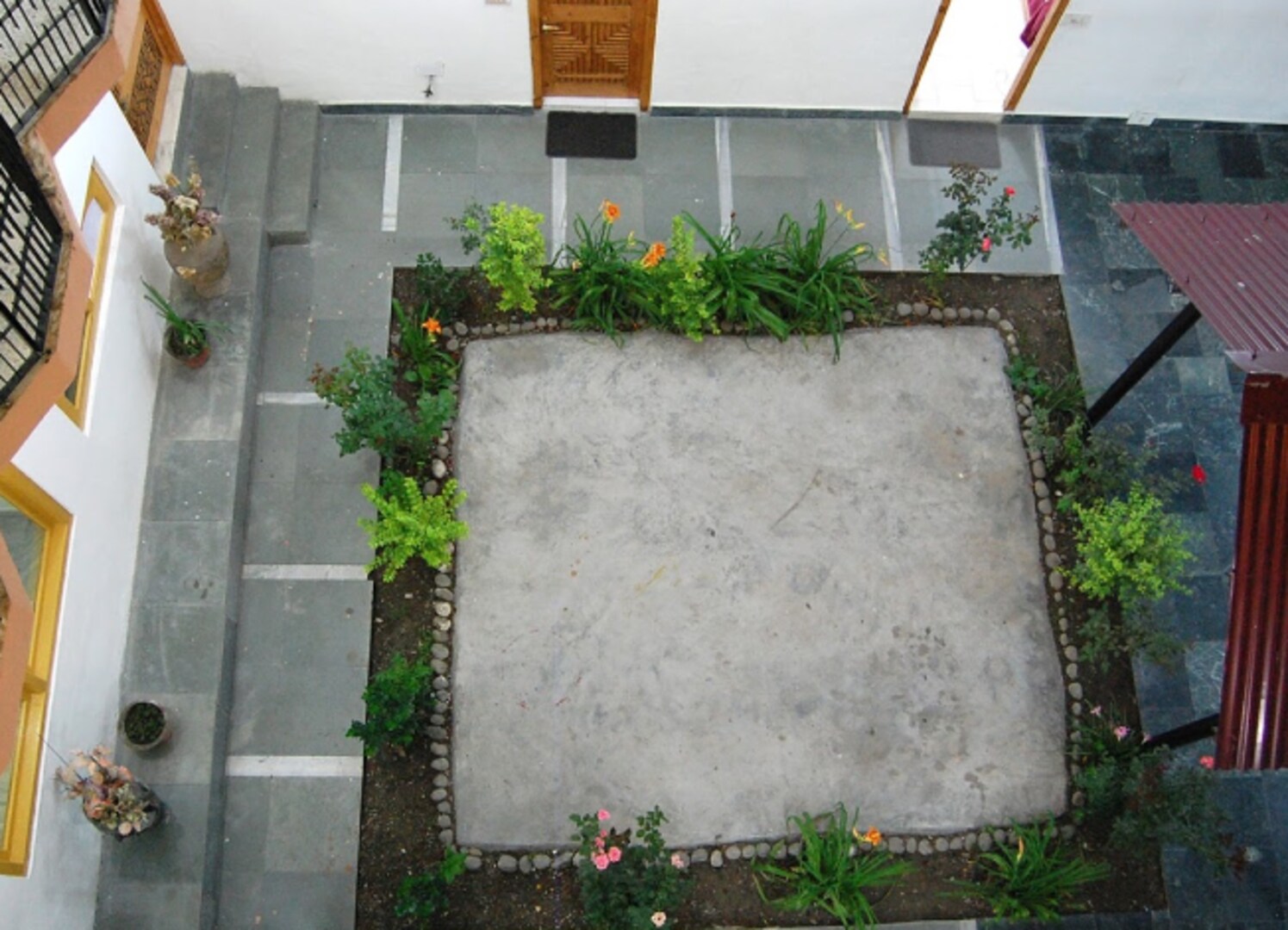 hotel surya international