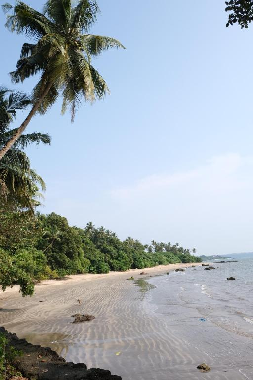 bambolim beach resort