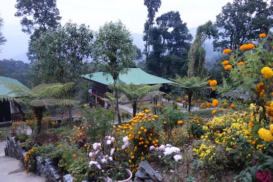 The Barfung Retreat,Kalimpong>>Gangtok,3 star
