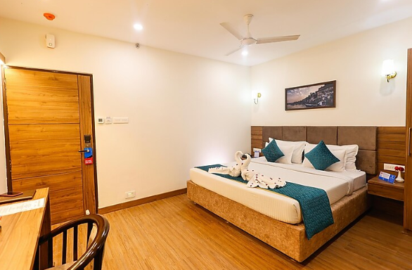 hotel dolphin international