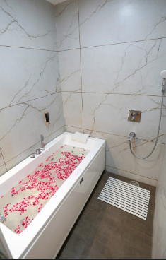 hotel dolphin international