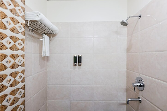 hotel dolphin international