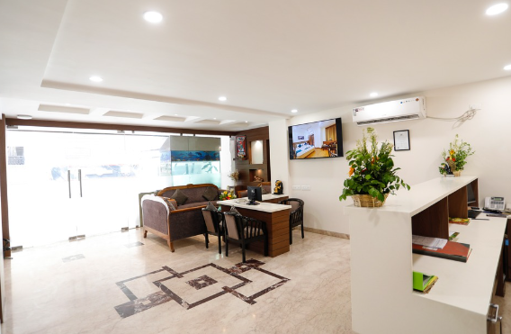 hotel dolphin international