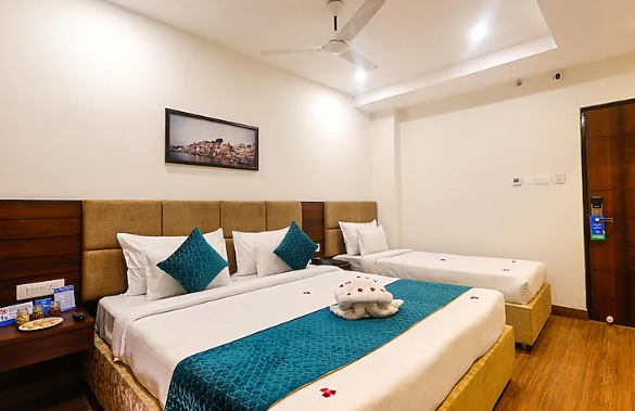 hotel dolphin international