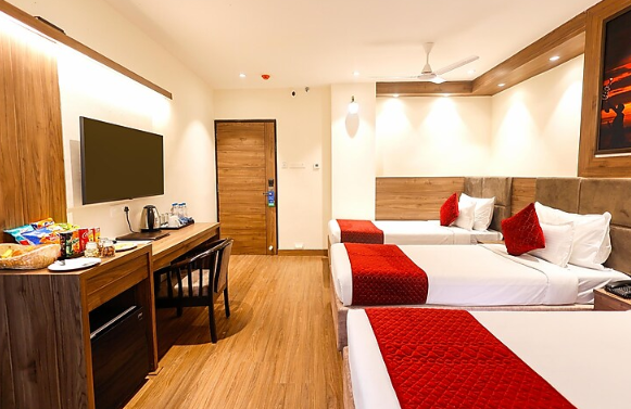 hotel dolphin international