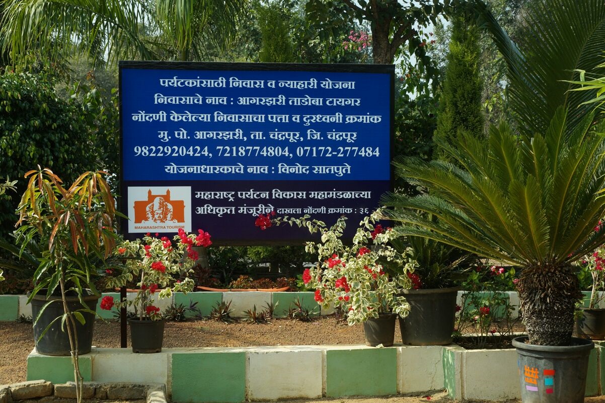 tadoba