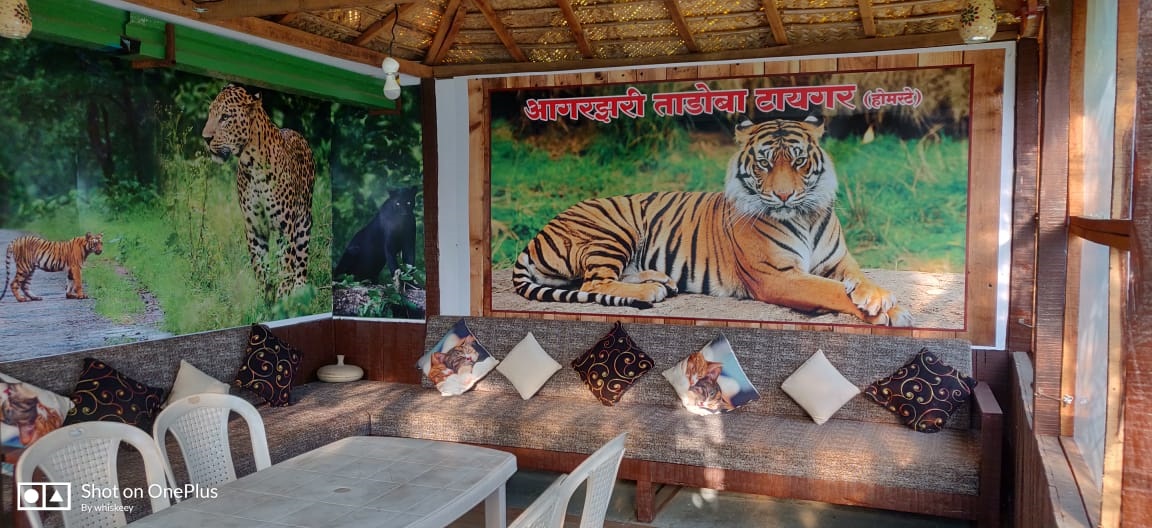 tadoba