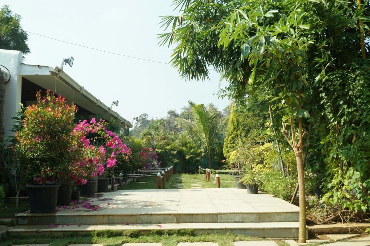 tadoba