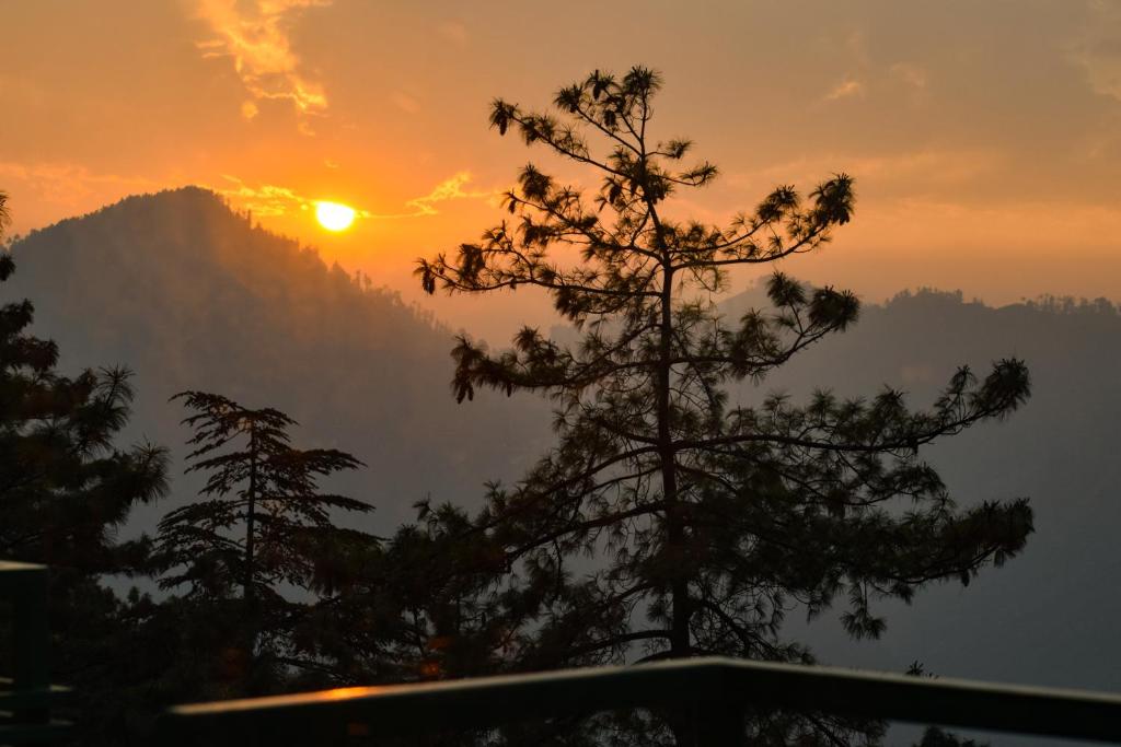 Aachman Nature Valley Resort,Mashobra,3 star
