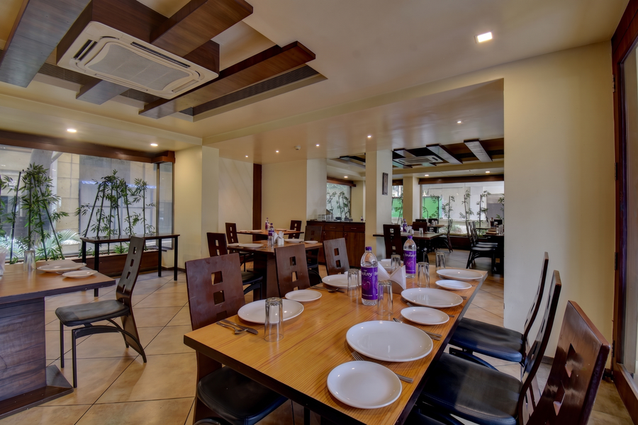 hotel ivy studios