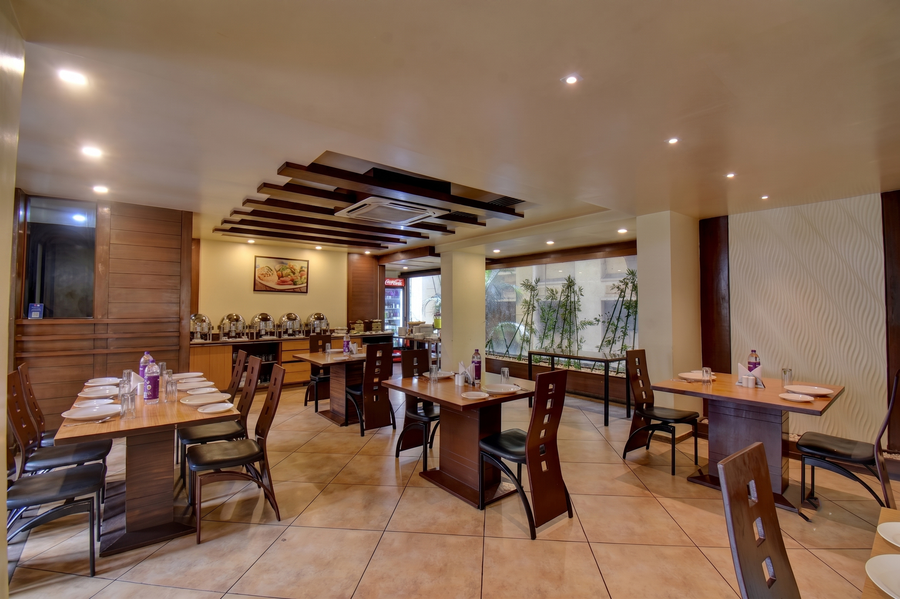 hotel ivy studios