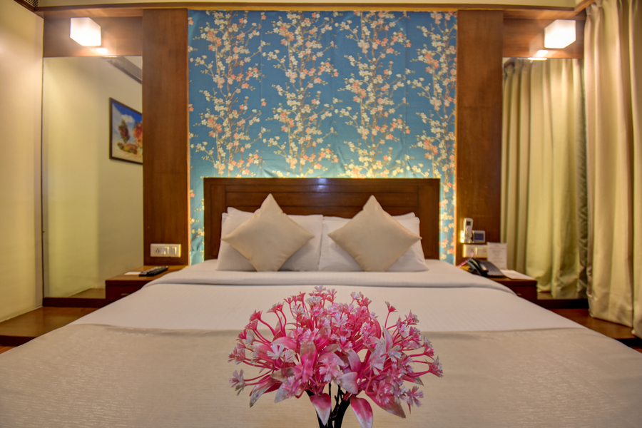 hotel ivy studios