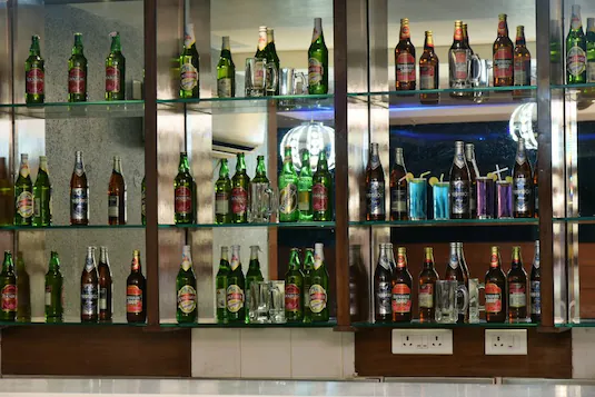 Hotel Swan,Dhakoli,3 star