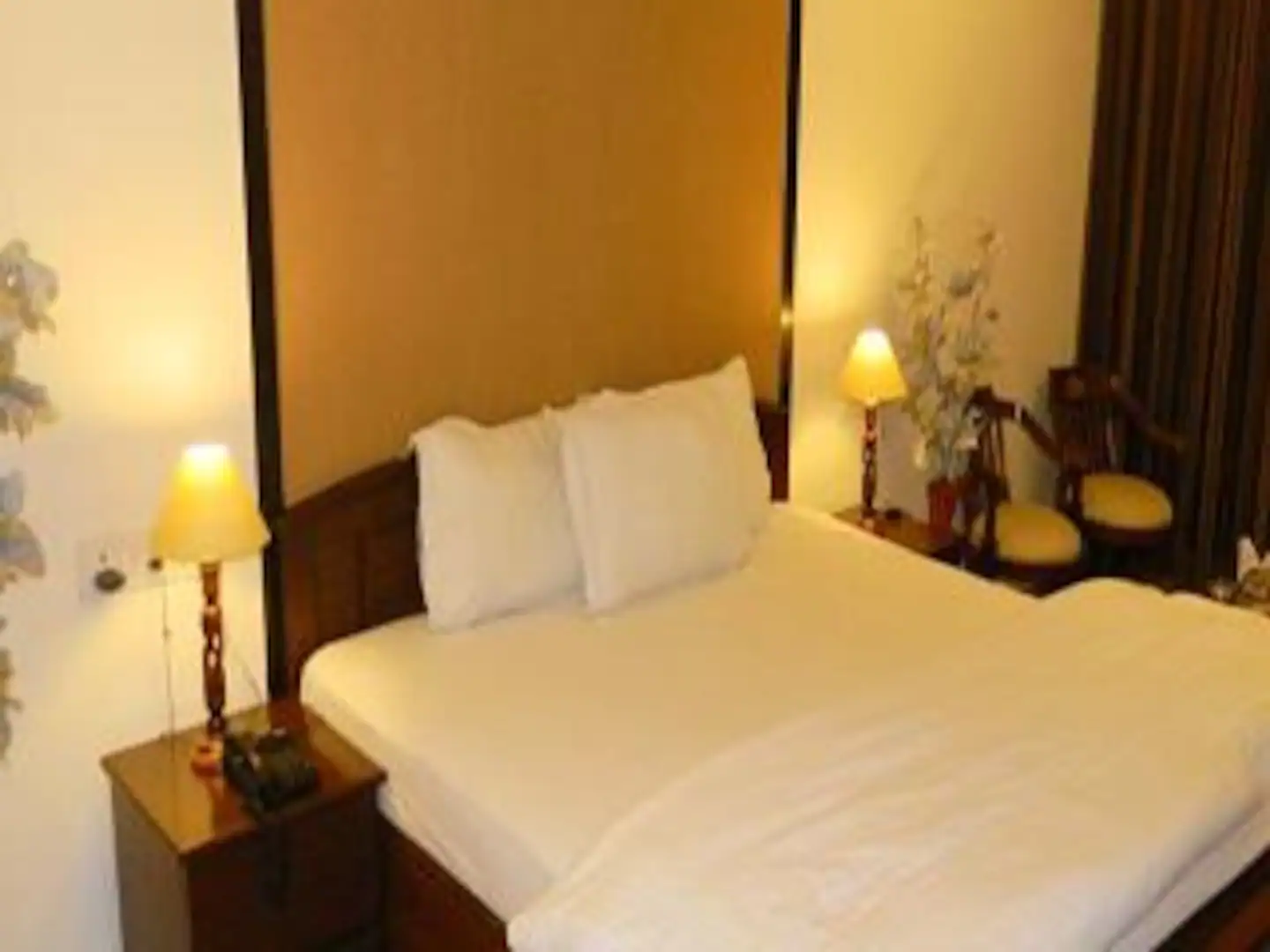 hotel shyama international