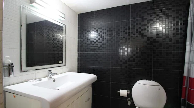 hotel shyama international