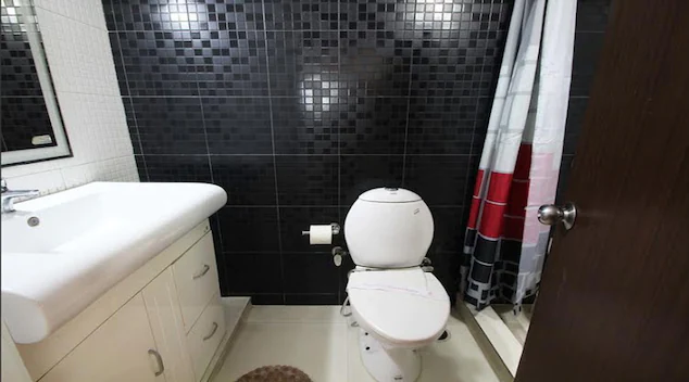 hotel shyama international