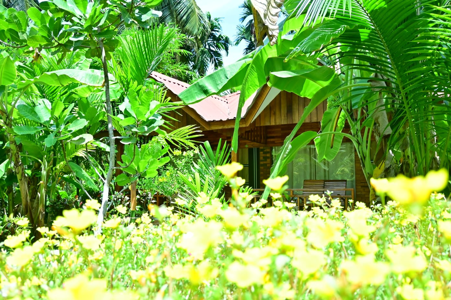 Reef Valley Resort,Havelock Island>>Baratang,3 star