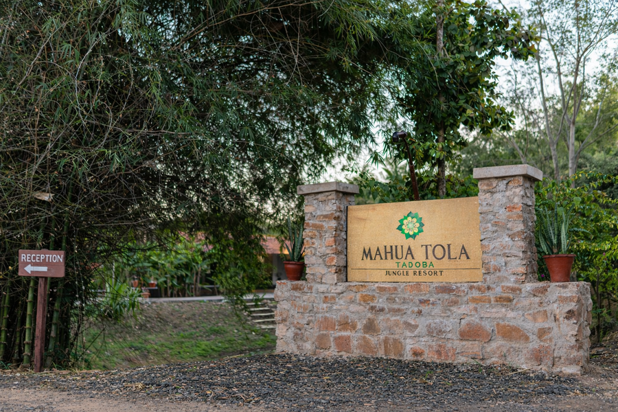 mahua tola tadoba