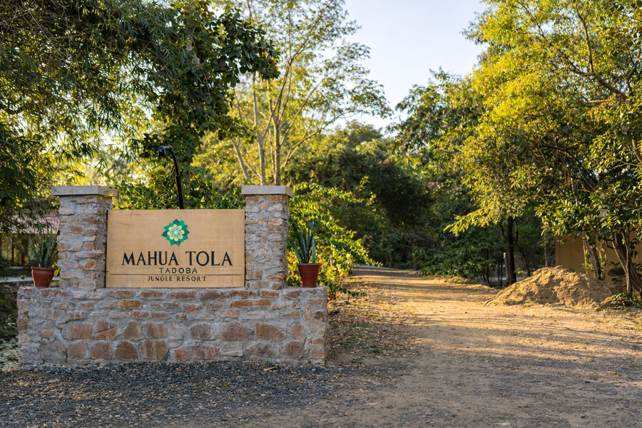 mahua tola tadoba