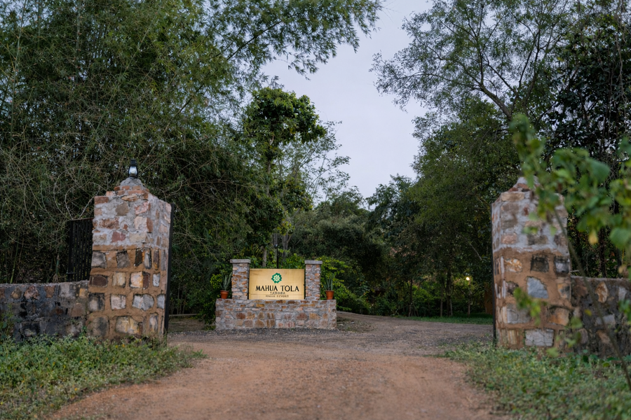mahua tola tadoba