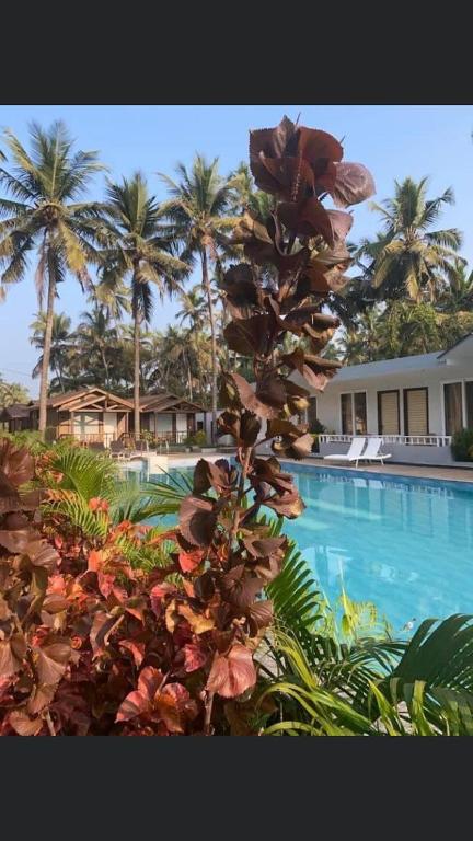 Golden Sands Resort,Morjim>>Goa,3 star