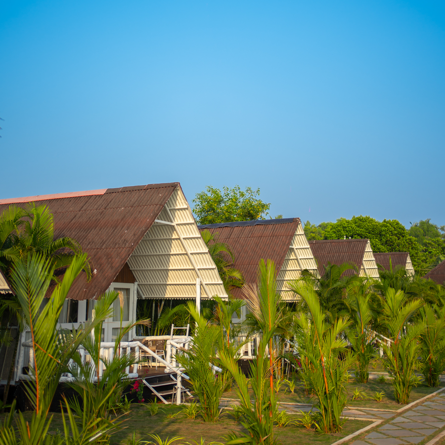 royal agonda