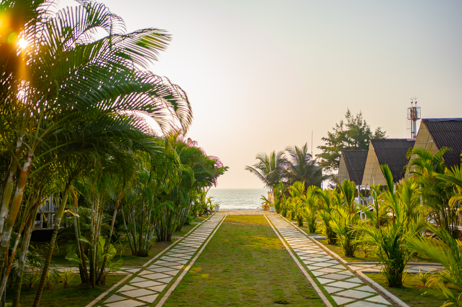 royal agonda