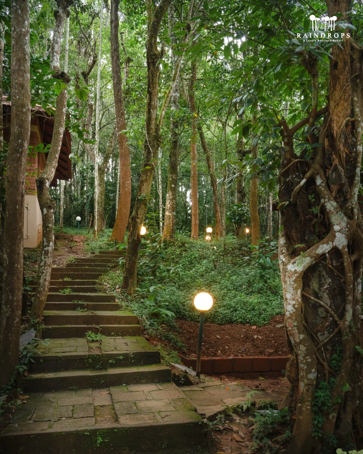 Raindrops Resorts - A Luxury Boutique Resort,Sultan Bathery,4 star
