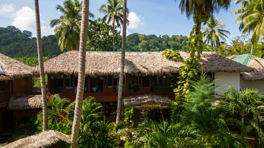 coral reef resort and spa